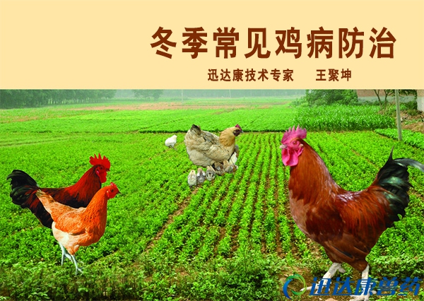 迅達康技術(shù)